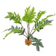 thumbnail image 4 of Reptile Hideout Plant Model Simulated Leaves Plant Decoration Reptile Tank Decorative Fake Plant, 4 of 8
