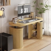 55 Electric Standing Desk, Height Adjustable Sit Stand Desk with Storage, Computer Desk
