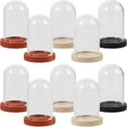 thumbnail image 3 of MasteelfCA 10 Sets Mini Glass Dome With Tray Clear Glass Display Case Preserved Flower Plant Display Cloche, 3 of 8