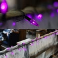 thumbnail image 2 of Guirnalda de luces Twinkle Star C6 100 bombillas LED morado 33 pies, 2 of 6