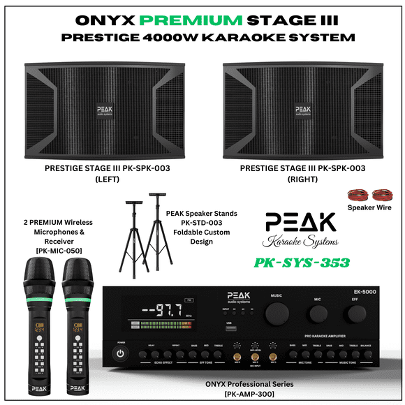 PEAK ONYX Système de Karaoké PREMIUM Stage II DEFIANCE - 4000 W