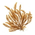 thumbnail image 2 of Wild Apple Portfolio 12x12 Gold Ornate Wood Framed with Double Matting Museum Art Print Titled - Pacific Sea Mosses VII White Sq, 2 of 4