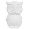 Hello Hobby Ceramic Paintable Bank Owl, 5.75" Height White Craft Base