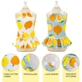 thumbnail image 3 of Vestidos de 2 piezas para perros pequeños y niñas, lindos vestidos de verano para gatos, falda para cachorros, disfraces de ropa de verano para mascotas (blanco+azul), 3 of 6