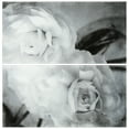 thumbnail image 4 of Empire Art Direct Dark Ranunculus I AB Frameless Free Floating Tempered Glass Panel Graphic Wall Art Set of 2, 72" x 36" x 0.2" each, Ready to Hang, 4 of 6