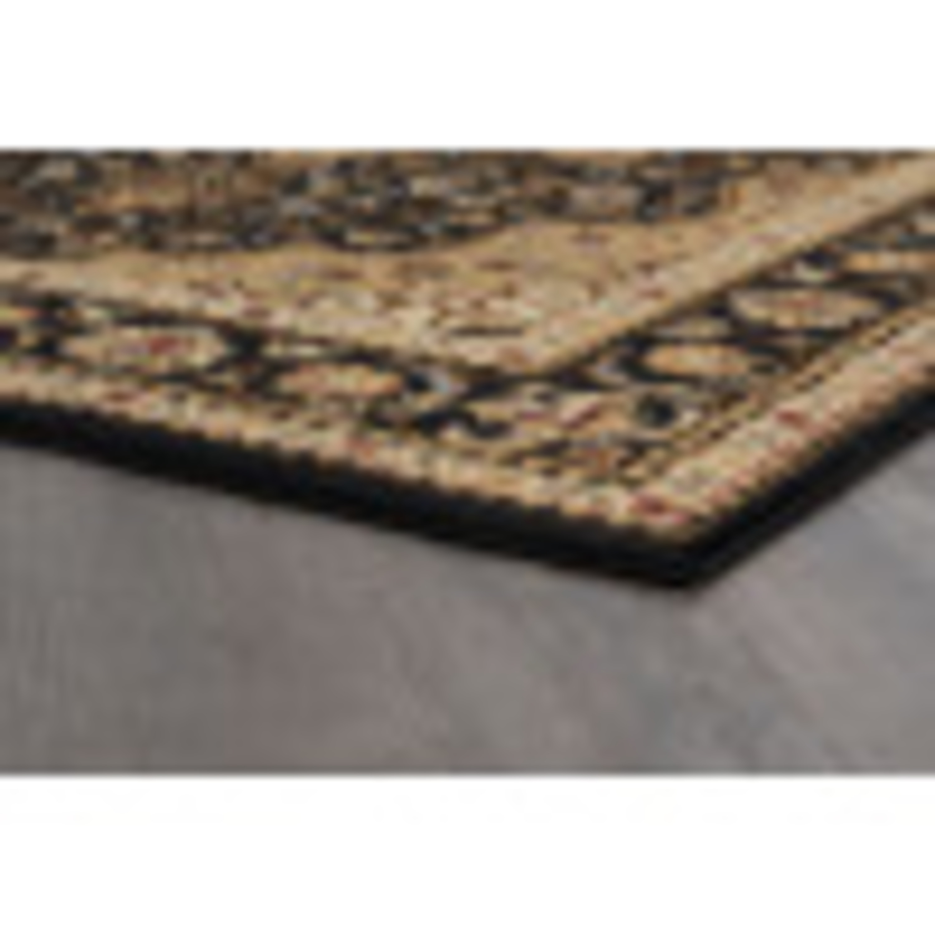 Traditional 5x7 Area Rug (5' x 7') Oriental Black, Gold Living Room Easy to Clean