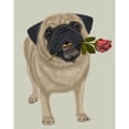 thumbnail image 3 of Fab Funky 12x14 Black Modern Framed Museum Art Print Titled - Pug and Rose, 3 of 5