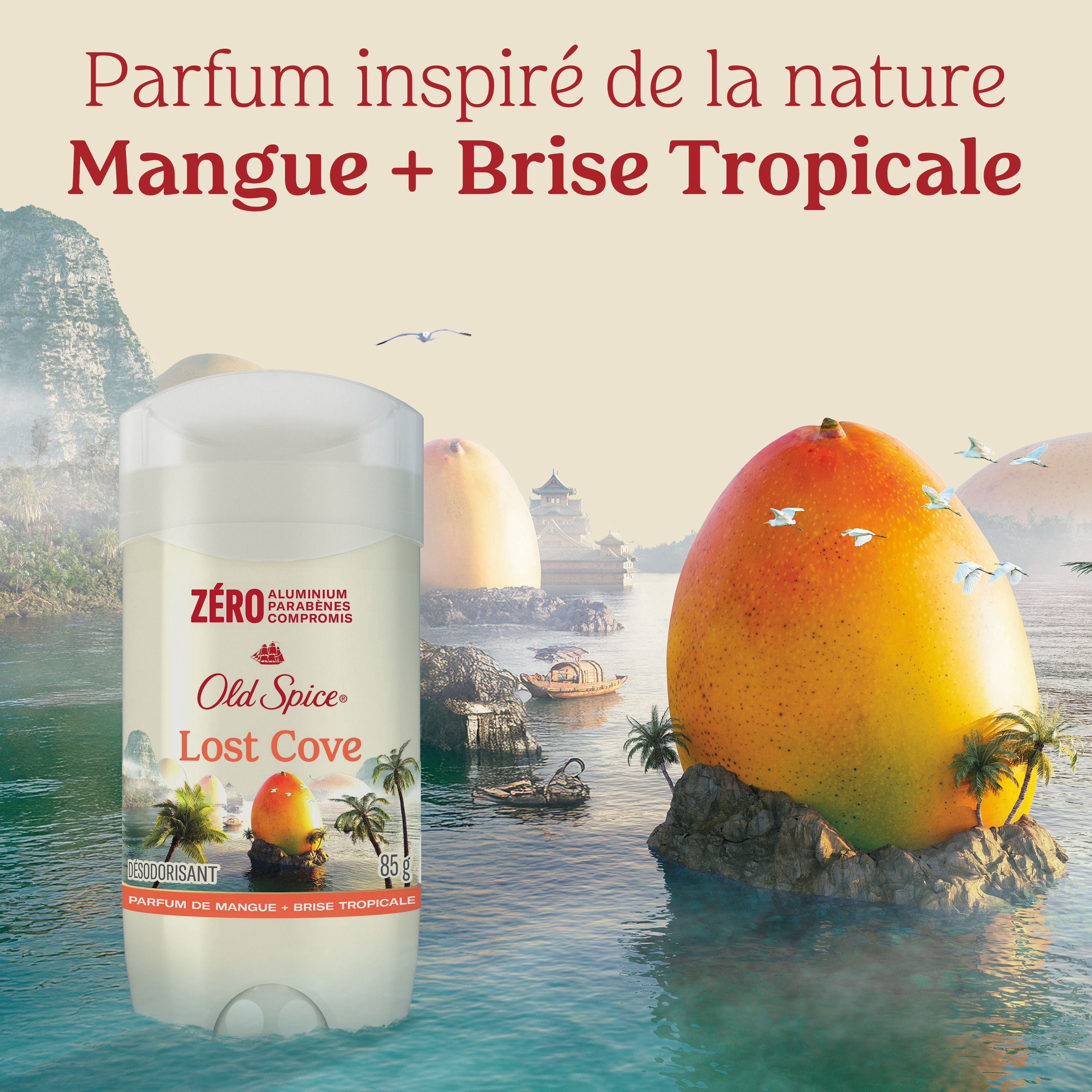Désodorisant Old Spice pour hommes, Lost Cove, parfum de mangue et brise tropicale, fraîcheur durable 24/7, sans aluminium, 85 g