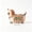 Dachshund, variant on Lumulena Bohemian Dachshund Figurine, Hand-Painted Resin Dog Statue with Tassel, Multicolor Folk Art Decor for Shelf Mantel and Desk, Handmade Painted Art Pattern Decorative Ornaments