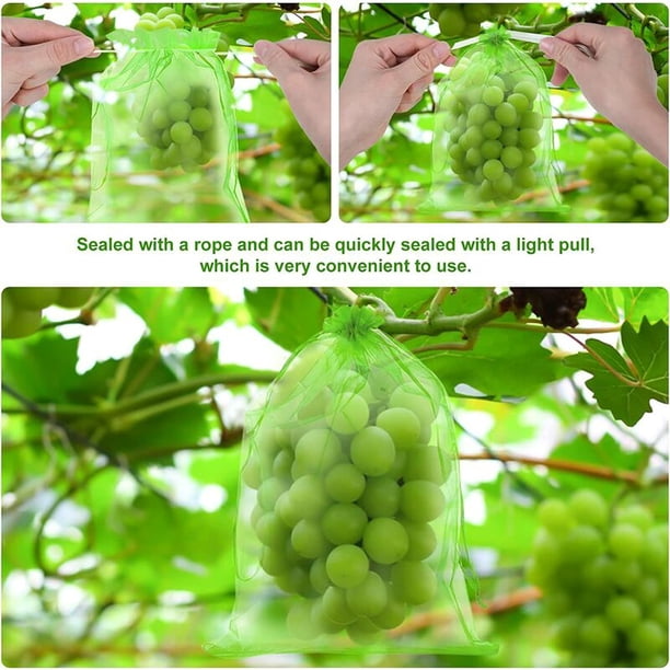 Bolsas De Protección Para Uvas Y Frutas - 50 Unidades, 30x40 Cm, Gasa Con Cordón | Reutilizables, Contra Insectos Y Pájaros
