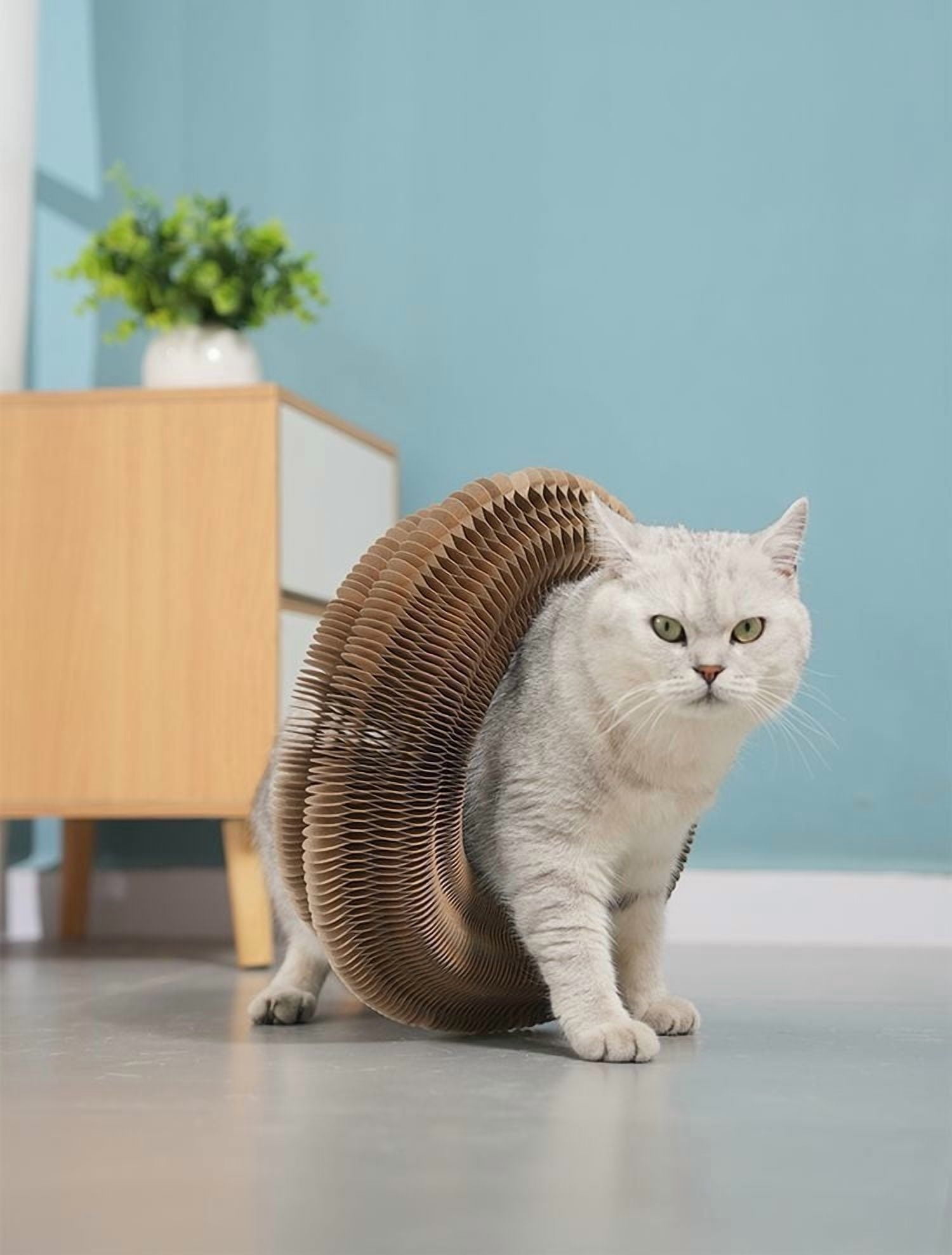 Kitty Kurlz Cat Toy, Cat Accordion Toy, Accordion Cat Toy, Magic Organ Cat Scratch Board, Foldable Accordion Cat Toy, Cat Accordion Toy with Ball