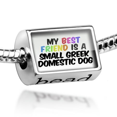 Bead My best Friend a Small Greek Domestic Dog from Greece Charm Fits All European