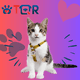 thumbnail image 2 of TQR BY FAKIRGEEK Placa DE IDENTIFICACIÓN Inteligente para Mascotas QR para Gato- GATO Etiqueta DE IDENTIFICACIÓN Accesorios Dije para Collar DE MASCOTA (BLANCO), 2 of 9