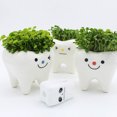 thumbnail image 5 of CIMAXIC Set of 2 Small White Ceramic Planter Pots Tooth Design for Indoor Plants, 5 of 8