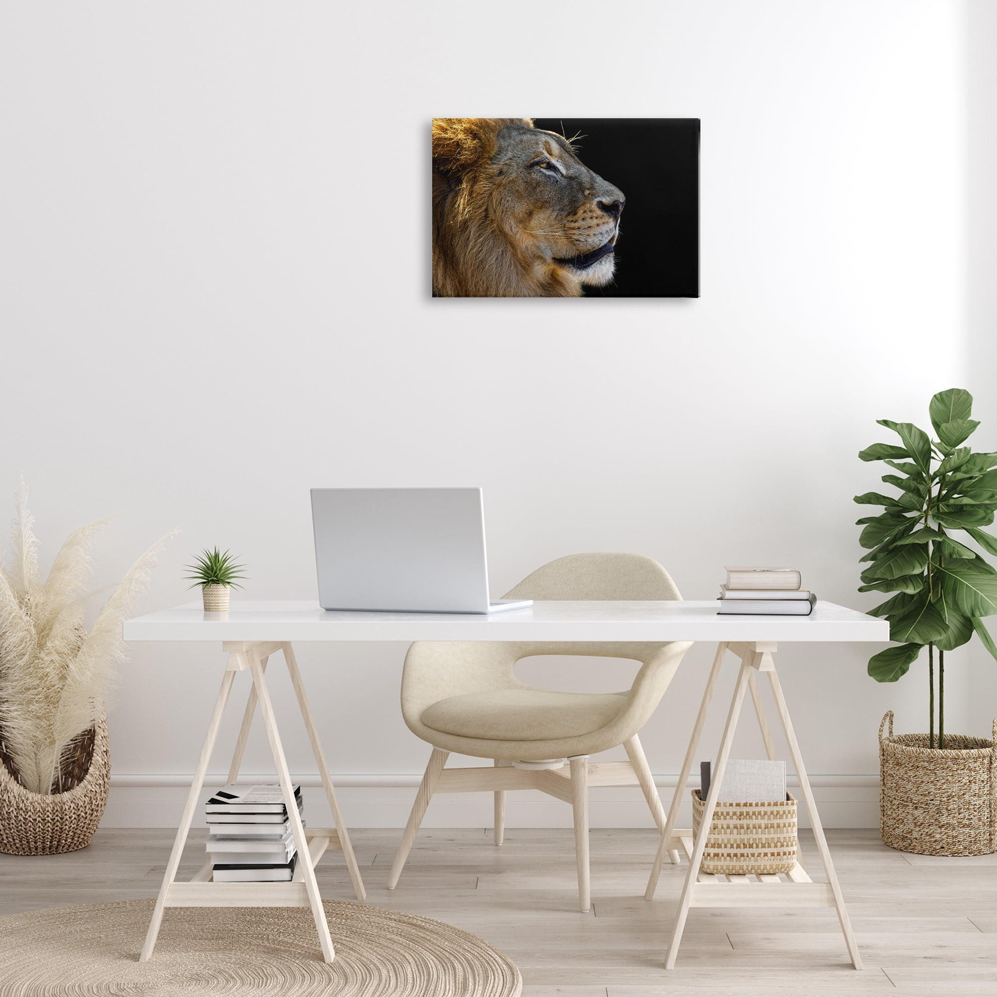 Stupell Industries Fierce Lion Looking Right Animals Photography Wrapped Canvas Art Print Wall Art, 24 x 16