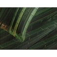 thumbnail image 4 of Ambesonne Green Quilted Bedspread Set 3 Pcs, Exotic Tree Forest Scenery, King Size, Fern Green, 4 of 5