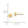thumbnail image 3 of Auriga 14k Yellow Gold 4mm Half-Ball Stud Earrings for Women(L-4mm, W-4mm), 3 of 6