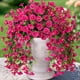 thumbnail image 2 of Glicinia artificial para colgar en la pared, enredadera de flores de seda, decoración colgante para interiores y exteriores, flores violetas realistas para pared, porche, barandilla,, 2 of 4