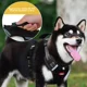 thumbnail image 3 of Pechera Arnés Reflectante Para Perros Con Correa Y Luces Led, 3 of 8