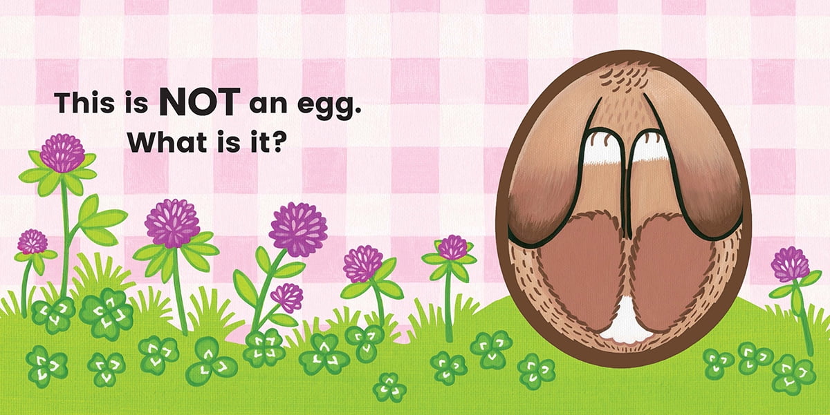 Not an Egg! (a Lift-The-Flap Book), Book , Jin, Susie Lee,(Board book)