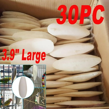 30X 10CM Long Cuttlebone Cuttlefish Bone Sepia Fish Bird Food Calcium Chew Toy