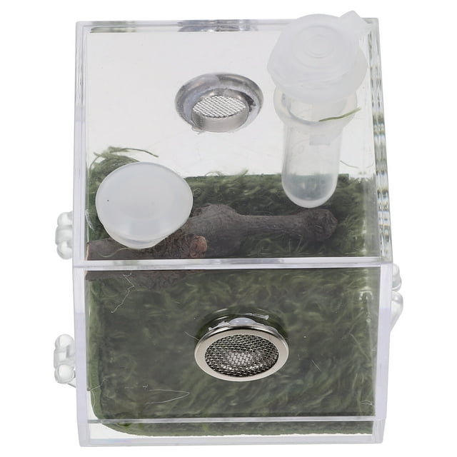 OULII Transparent Spider Enclosure Box Acrylic Multi Pet Observation Reptile Feeding 1 Set