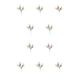 thumbnail image 3 of Matsuzay Navidad bayas artificiales pino cono flor rama salón pared ventana boda fiesta decoración adornos Color champagne 10piezas, 3 of 6