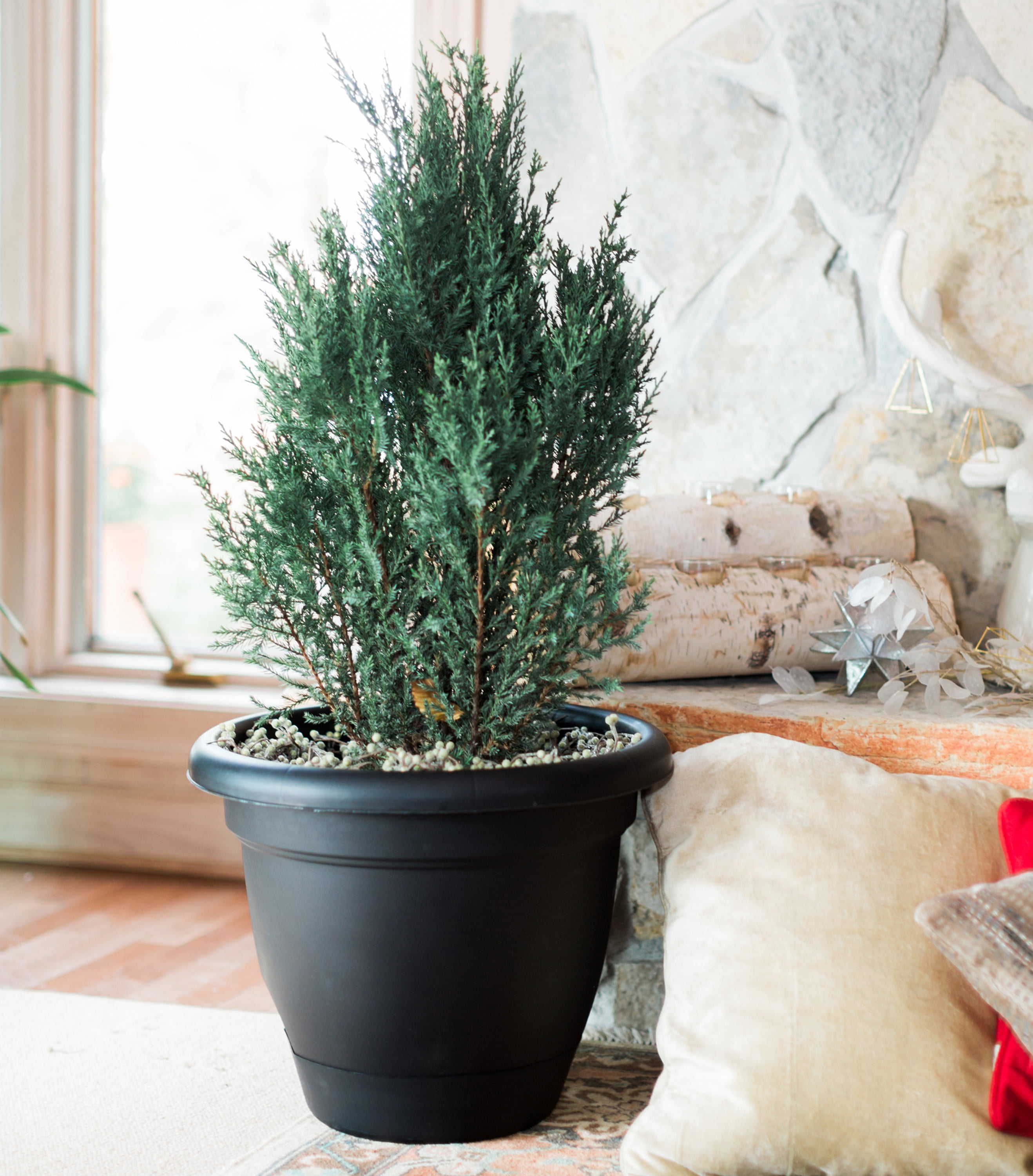 Bloem Lucca Self Watering Planter 12" Black by Bloem