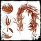 thumbnail image 4 of Simulation Rattan Decoration Halloween Rattan Festival Simulation Maple Leaf, 4 of 6