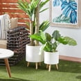 thumbnail image 3 of DecMode Ceramic Contemporary Planter Set of 2 16", 13"H, Matte White Finish with Natural Toned Wooden Legs, 3 of 13