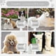 thumbnail image 2 of Electric Dog Brush For Long Haired Dogs Slicker Brush For Dogs Shedding High-efficiency Pet Grooming Brush Easily Cleaning Eco-friendly Portable Saves, 2 of 5