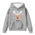 thumbnail image 4 of Toddler Girls Graphic Hoodie Merry Christmas Print Hooded Sweatshirt Festive Pullover Top Fall Fashion Clothing Size 1-2T ,Gray, 4 of 5