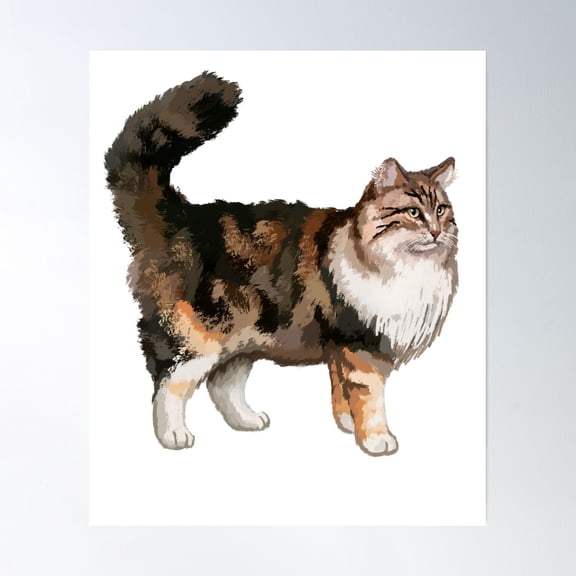 Norwegian Forest Cat Poster Wall Art, Modern Wall Decor, 8x12 UNFRAMED