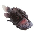 thumbnail image 1 of unbranded Modèle de Poisson Marin Réaliste pour Salon et Salle de Classe, 1 of 6