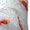 2 Black-1, variant on Vsdgher Koi Fish Corals,Spring Summer Print Thigh High Socks Extra Long Stretchy Sock Women Over Knee High Opaque Stocking Daily Wear