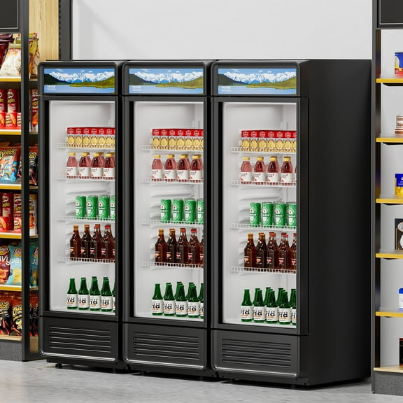 6.9 Cubic Feet Glass Door Commercial Merchandiser – Beverage Refrigerator for Supermarkets & Convenience Stores
