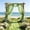 Green, variant on Sheer Chiffon Wedding Curtain, 78.74 in Polyester Drapery, Sheer Arch Decoration Backdrop for Wedding Ceremony, Party Chair Ornament, Black