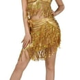 thumbnail image 3 of Bovxnpu Women Skirt Sparkly Sequin Fringe Skirt Tassel Shorts Belly Dance Skirts Festival Outfits for Women Beach Vacation Summer Outfits, 3 of 9