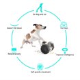 thumbnail image 5 of Dog Food Toys Pet Puzzle Interactive Tumbler Balance Car Funny Toy Food Slow Dispenser Eater Pet Dog Cat Training Goods for Pets (Black), 5 of 7