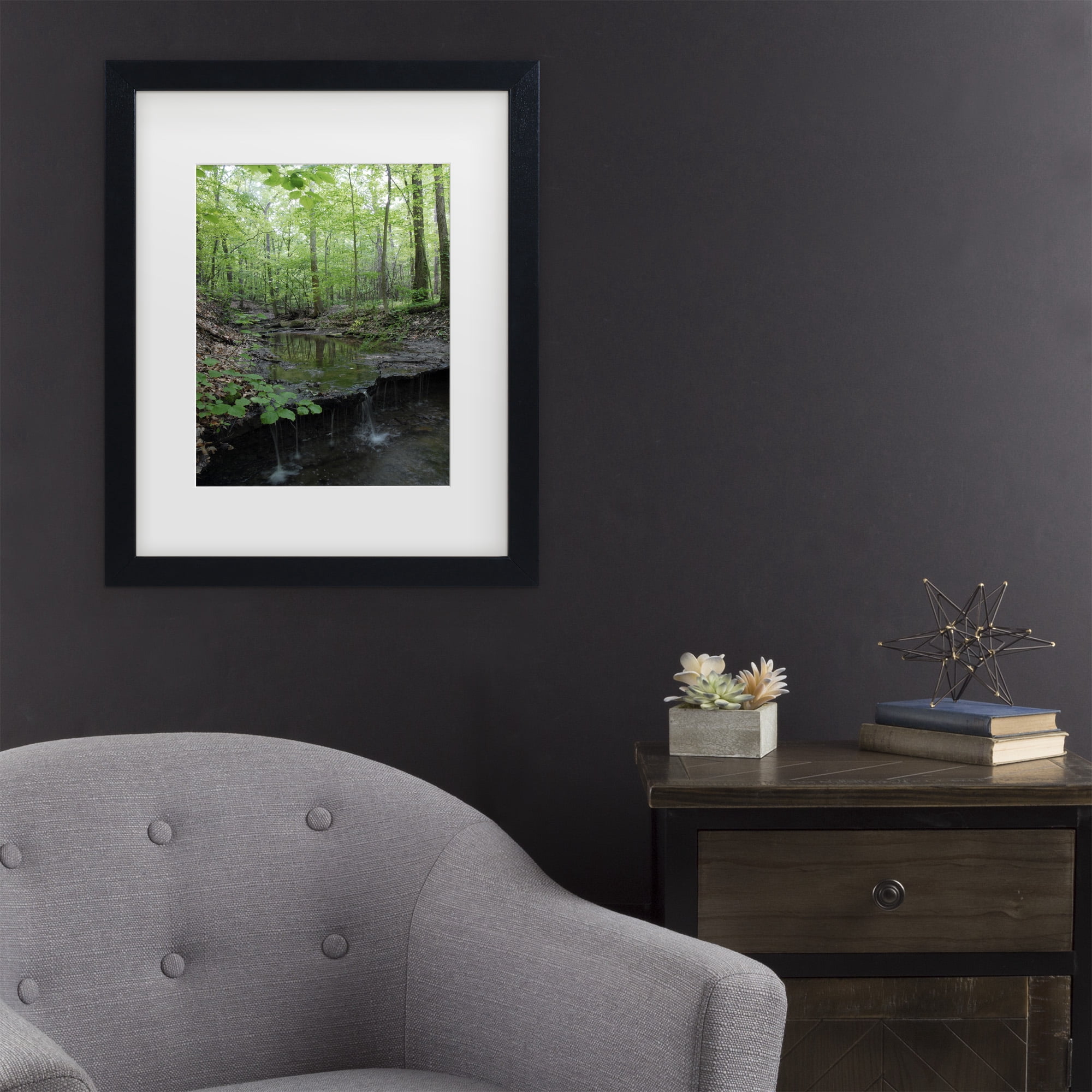 Trademark Fine Art 'Tiny Forest Falls' Canvas Art by Kurt Shaffer