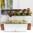 thumbnail image 3 of Lazy Flower Pot  Rectangular Window Sill With Visible Water Level  Plastic Vegetable Pot  Medium Suction Basin, 3 of 15
