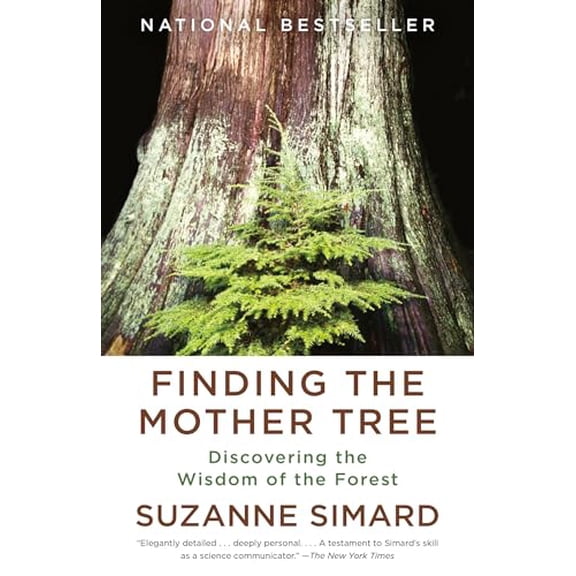Pre-Owned Finding the Mother Tree: Discovering the Wisdom of the Forest, 9780525565994, 052556599X, Paperback, First Edition edition