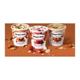 Haagen Dazs Vanilla Bean Ice Cream, 14oz