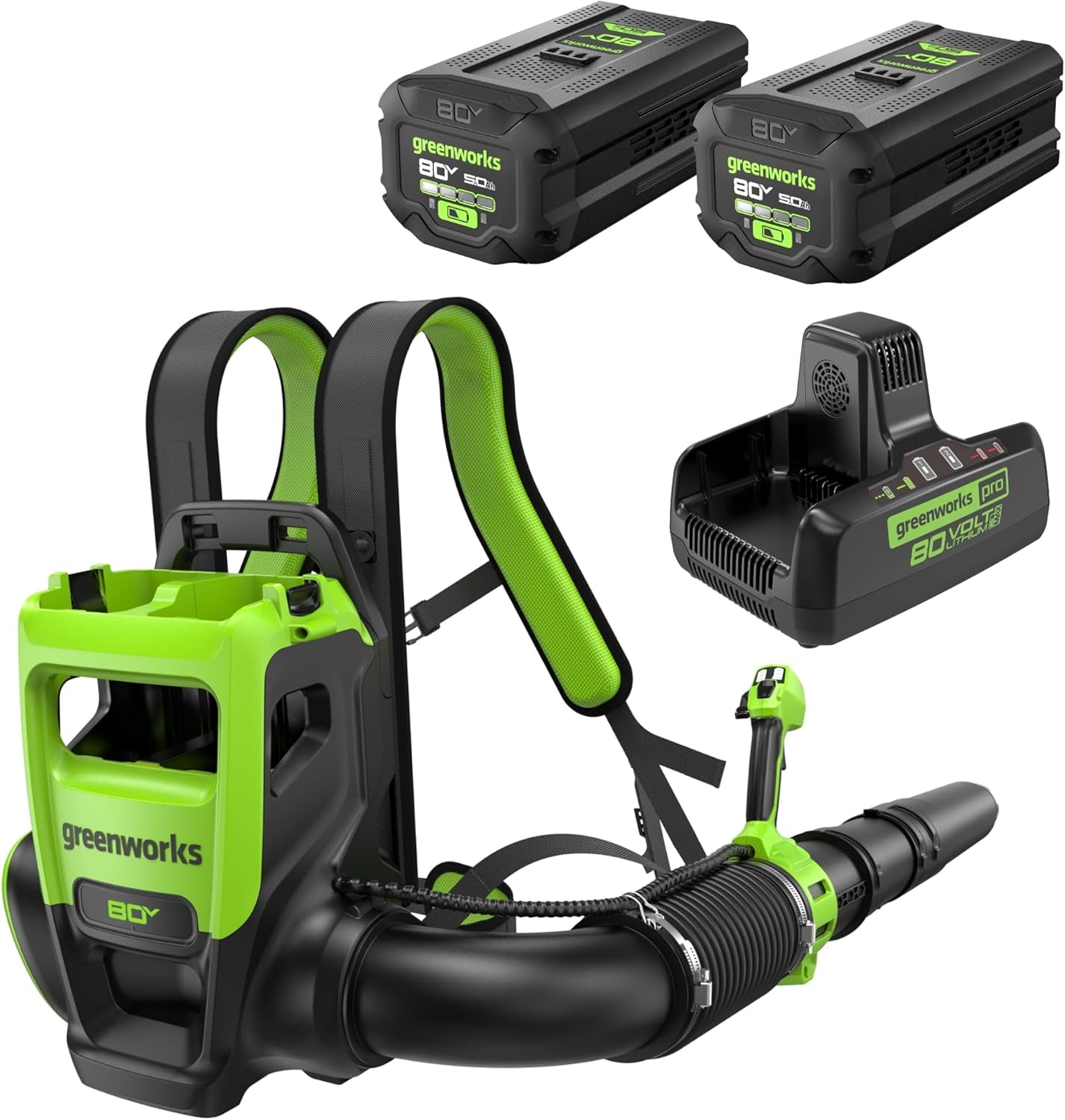 greenworks WDV40B00 3ガロン乾湿両用掃除機バッテリー付 Greenworks 24V 350W 11.4L (3 Gallon) 乾湿両用掃除機 | Costco Japan