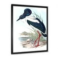 thumbnail image 2 of Designart 'Australian Vintage Birds I' Traditional Framed Art Print, 2 of 4