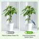 thumbnail image 5 of Uxcell 1-Pack Abrazaderas para Macetas de Aves, Estacas de Jardín de Colibrí de Acrílico de 3.2" para Decoración de Colgadores de Jardineras [Estilo 12], 5 of 7