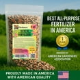 thumbnail image 5 of ⭐ 𝐁𝐄𝐒𝐓𝐒𝐄𝐋𝐋𝐄𝐑 10-10-10 Plant Fertilizer Slow Release | 10 10 10 All Purpose Fertilizer for Fruit Trees, Evergreens, Vegetables, Arborvitae, Fig Trees, Shrubs, Pines, Oaks, Flowers [20 Quarts], 5 of 9