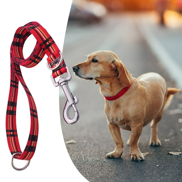 CBFFDC Laisse pour Chien à Double Poignée Attache de Laisse pour Chien Boucle en D Double Longueur Réglable Marche Confortable et Entraînement Laisse de Traction pour Animaux