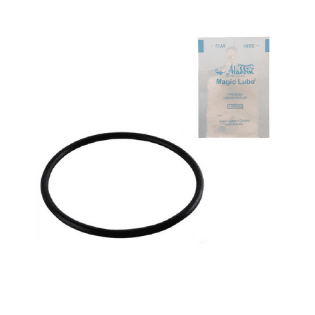 O-ring Lubricant - Puri Tech O-RING - Pentair R172009 & Others w/ Single Use Lubricant