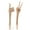 C, variant on Dserhfy Halloween Skeleton Stake Decoration Realistic Skeleton Bones Design Easy to Install Creepy Hand Arm with Lawn Stakes